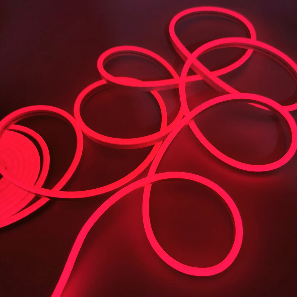 Tira de LED de Neón Inteligente ZigBee 3.0 RGB DC12V – Tuya